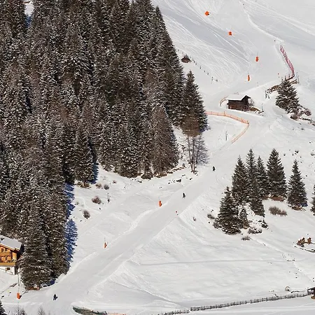 Family Maximilian טוקס